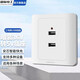 國際電工86型工地插座20WUSB插座220V/36V快充宿舍家用手機充電插座面板 暗裝-二口USB【36V轉5V】 插座