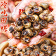 舌意四川麻辣田螺螄肉開(kāi)袋即食特產(chǎn)熟食冷吃追劇下酒香辣螺絲袋裝零食 冷吃田螺一袋