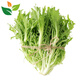 有機苦苣1斤 苦菊 沙拉食材匯有機認證新鮮蔬菜 健康無農(nóng)殘激素 500g