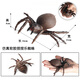 貝可麥拉（beikemaila）兒童仿真海洋動(dòng)物模型軟膠捏捏樂減壓發(fā)泄早教螃蟹八爪魚玩具禮物 蜘蛛仿真【軟膠】