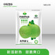中科茂華瓜果種子茂華甜寶甜瓜種子芝麻蜜香瓜種子含糖16.5脆香酥新青玉耐濕耐熱耐雨水超甜多汁基地種植 茂華甜寶5克/袋【升級版】