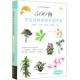 500種常見園林植物識(shí)別圖鑒（彩圖典藏版）
