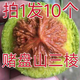青皮核桃文玩淶水盤山王勇官帽四座樓白獅子手把玩 青皮官帽/四座樓50-52mm發(fā)3個裝