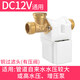 湘君太陽(yáng)能電磁閥熱水器通用電磁開(kāi)關(guān)控制閥 DC12V自動(dòng)進(jìn)水上水閥配件 【12V】長(cháng)嘴有壓閥/銅頭