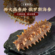 大彼得灣俄羅斯六排刺野生即食海參高參齡無腥滋補(bǔ)節(jié)日送禮盒固形物≥85% 一斤8-16根