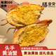 【膳富貴黃油蟹】鮮活頭手黃油蟹鮮活活蟹青蟹膏蟹送禮佳品 頭手黃油蟹1只（凈重3兩） 150g + 1只裝-【嘗鮮精選】