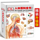 少兒精裝升級(jí)版DK人體百科全書(shū)海量圖片揭秘我們的身體骨骼結(jié)構(gòu)圖解以文字為孩子探索認(rèn)識(shí)人體科普打開(kāi)興趣 DK人體百科全書(shū)