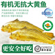 太湖?！居袡C無抗大黃魚】鮮活黃花魚冰鮮冷凍深海水產野化魚類年貨禮盒 凍品-有機大黃魚（400g*2條）