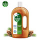 滴露（Dettol）消毒液750ml家用殺菌衣物室內(nèi)拖地除菌液消毒水洗衣機(jī)用