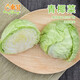東昇青椰菜700g 卷心菜 包心菜京包 廣州蔬菜新鮮配送