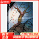 甲骨文叢書：恐懼與自由 第二次世界大戰(zhàn)如何改變了我們