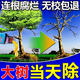 爛樹(shù)根劑大樹(shù)除樹(shù)一滴死一針倒強力除樹(shù)劑殺大樹(shù)爛根王專(zhuān)用藥正品 兩瓶裝【樹(shù)死根爛】 100ml 2瓶