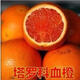 龍辰語(yǔ)嫁接橘子樹(shù)苗沙田柚子苗三紅蜜柚子樹(shù)苗沙糖桔子苗紅心橙子苗正宗四會(huì )沙砂糖橘果樹(shù)苗橘子苗橙子樹(shù)苗 塔羅科血橙 2年苗