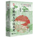 華文全球史069·早稻田大學日本史（卷四）：平安時代