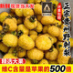 鮮級(jí)佳野生刺梨貴州特產(chǎn)2025新果鮮果維C泡酒泡茶現(xiàn)摘現(xiàn)發(fā)農(nóng)產(chǎn)品水果 凈重鮮果5斤【順豐冷鏈】 現(xiàn)摘現(xiàn)發(fā)   顆顆甄選