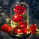 JoyFlower永生花玫瑰花禮盒生日禮物女教師節結婚紀念送女生朋友老婆高級感