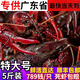 湖北潛江鮮活小龍蝦特大炮頭清水青蝦紅殼活蝦5斤裝【干凈免刷】 6789大蝦5斤（一斤大概12-15）