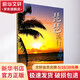 琵琶流行金曲99首 上海音樂出版社 張馨 編 書籍