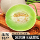 青惠悠冰淇淋玉菇甜瓜山東西白香瓜沙糯哈密小吊瓜南匯莘縣特產(chǎn)新鮮水果 玉菇8-8.5斤【約3-4個(gè)瓜】