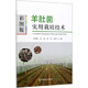彩圖版羊肚菌實(shí)用栽培技術(shù)