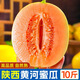 琦拉正宗黃河蜜瓜10斤 陜西民勤沙漠甜瓜當(dāng)季新鮮黃金蜜瓜香瓜甜瓜整 黃河蜜瓜 帶箱9-10斤裝
