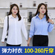 離拜大碼女職業(yè)襯衣 彈力顯瘦職裝女裝業(yè)正裝吸汗透氣大碼胖MM300斤 T襯衣白色長袖翻領(lǐng) 6XL