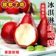 喜季新鮮紅啤梨香甜軟糯應(yīng)季水果紅寶石正宗啤酒軟梨子現(xiàn)摘現(xiàn)發(fā)多汁 凈重4.5斤【精選特大果】
