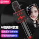屁顛蟲(chóng)（Hifier） F2PRO話(huà)筒音響一體麥克風(fēng)無(wú)線(xiàn)內置聲卡套裝直播設備全套手機唱歌全民K歌電視手機通用K歌寶新款 X39黑紅色