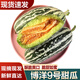 譯優(yōu)農(nóng)山東博洋9號(hào)甜瓜5斤當(dāng)季新鮮水果羊角脆甜蜜九號(hào)蜜瓜生鮮整箱 凈重4.5-5斤實(shí)惠裝【順豐】
