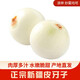 灃御園新疆皮牙子白皮洋蔥5斤 生吃涼拌甜味食材新鮮生鮮蔬菜