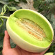 拾畝記上海玉菇甜瓜新鮮現摘白瓜香瓜生鮮水果整箱當季綠肉蜜瓜 10斤禮盒裝