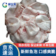 鮮又來(lái)千島湖鮮魚泡魚胖頭魚泡新鮮花鰱魚鰾魚肚魚膠原蛋白 2斤