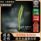 唯茶安吉明前白茶2025新茶特級(jí)頭采特級(jí)正宗浙江特產(chǎn)白茶綠茶500g禮盒