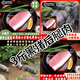 谷概念貴州純糧散養(yǎng)黑豬肉帶皮后腿肉生鮮土豬肉本地農(nóng)家糧食喂養(yǎng)大肥豬 3.01斤【1500克】初次嘗味道 貴州散養(yǎng)一年多黑土豬后腿肥瘦肉