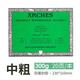 阿詩（ARCHES）水彩本純棉水彩紙進(jìn)口300g畫畫紙水彩畫專業(yè)用紙四面封膠 綠面 中粗(23X31CM) 20頁/本