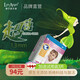 獅子座天使新生兒紙尿褲S號70片[3-8kg]超薄柔軟瞬吸干爽尿不濕 S