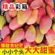 甜蜜有禮貴妃芒果 凈重3斤丨單果80g以上 爆甜貴妃芒