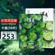 溪秀溪秀綠盒積雪草蠶絲面膜溪秀櫻花面膜舒緩補(bǔ)水保濕潤膚護(hù)膚品套裝 10盒(50片)