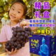 秦人農(nóng)匠 正宗戶太八號(hào)【順豐空運(yùn)】陜西戶縣葡萄新鮮滬太8號(hào)西安特產(chǎn)禮盒 6斤 匠心禮盒裝