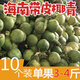 南象婆海南帶皮大椰青椰子【產(chǎn)地直發(fā) 新鮮到家】青皮椰新鮮椰奶凍椰寶 9個