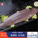 墨妍御鮮龍利魚(yú) 新鮮冷凍舌頭魚(yú)鮮活踏板魚(yú)牛舌魚(yú)塔米魚(yú)海鮮水產(chǎn)生鮮魚(yú)類(lèi) 龍利魚(yú)3條裝 300-500g/條