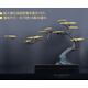 歐柏歷純銅迎客松擺件現(xiàn)代家居飾品松樹銅藝玄關(guān)擺設(shè)桌面裝飾品松柏盆 大理石底座款大號(hào)