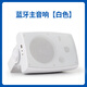 聆語（lingyu） TB5L無線藍(lán)牙壁掛音響店鋪會議室舞蹈室奶茶店背景音樂掛壁式重低音有源商用音箱 主音響【白色】