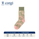 CORGI柯基Morris聯(lián)名襪子英國進(jìn)口情侶女冬季中筒襪男送女友禮物潮襪 雛菊 1雙 女款35-39
