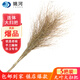 姚河環(huán)衛大竹掃把笤帚掃地車(chē)間馬路掃庭院戶(hù)外工地掃帚無(wú)葉一體式五把
