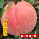 花幽谷【兩株裝】嫁接桃樹(shù)苗盆栽地栽庭院陽(yáng)臺桃花桃子久保陽(yáng)山樹(shù)苗南方 麗江春雪當年結果【四年苗兩株】 81cm(含)-110cm(含)
