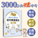 初中英語語法練習冊漫畫圖解超好記超好用 七八九年級中考英語語法刷題初一初二初三