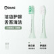 DIMMI迪米 成人膠囊電動(dòng)牙刷頭 靚白型舒適型組合 Q1專(zhuān)用 2支 若竹綠刷頭