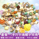 曦凰天然貝殼海螺殼海星珊瑚石兒童玩具裝飾擺件DIY卷貝魚(yú)寄居蟹 套餐:半斤小海螺小貝殼