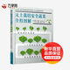 無土栽培安全蔬菜全程圖解 化學(xué)工業(yè)出版社 (美)泰勒·巴拉斯 著 李強(qiáng) 等 譯 新華正版書籍包郵